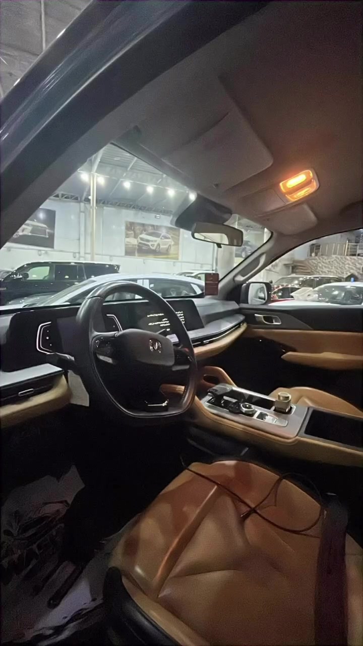 شانجان هنتر • بيكب • لا تفاصيل