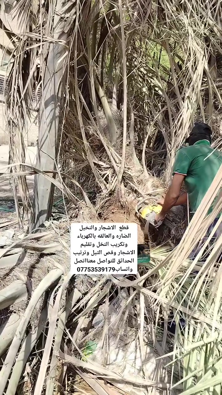 بستنة • تنسيق حدائق • صيانة حدائق