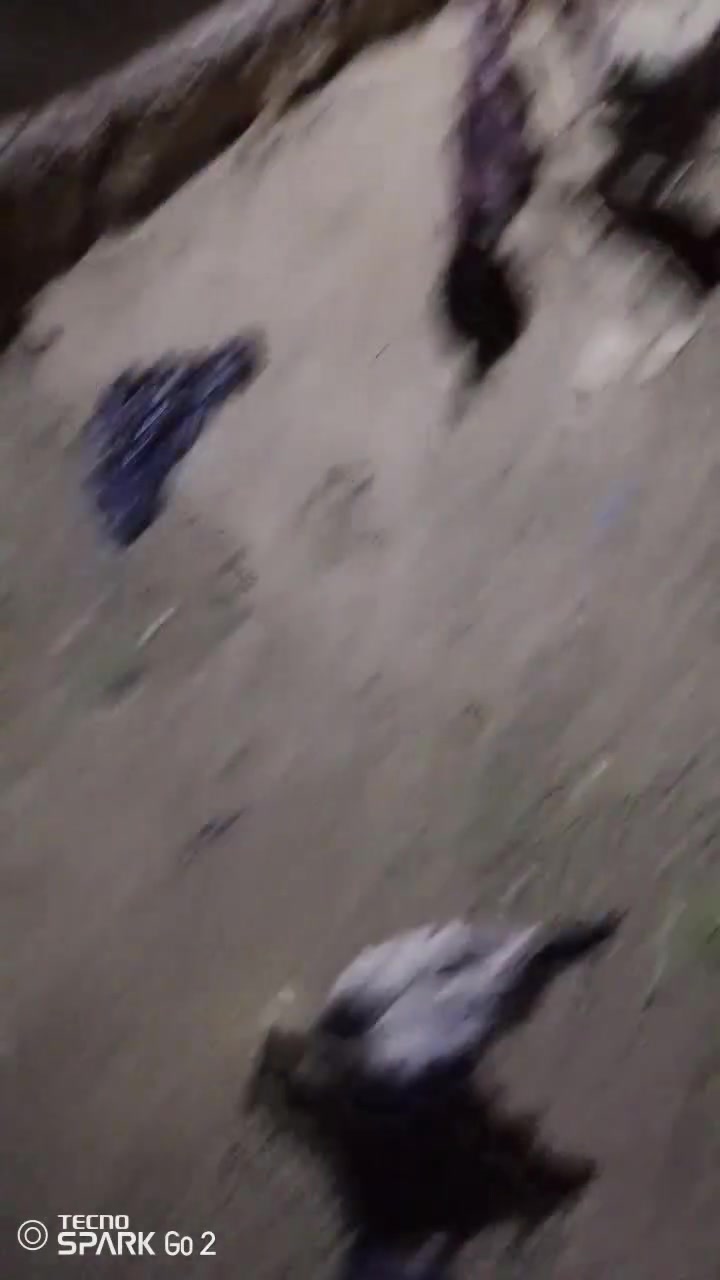 فسيفس • ٨قطع • هيت