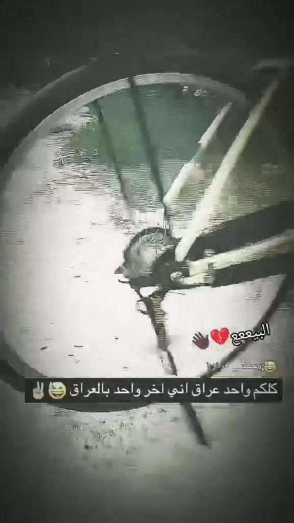 ٢٠١٦ • مختم ومكفول • نجف براكيه