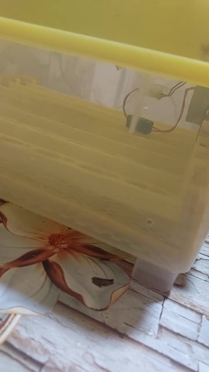 فقاسة بيض أوتوماتيكية ECG Incubator للبيع
فقاسة بيض أوتوماتيكية بحالة جيدة وشغالة بالكامل، جاهزة للاستخدام، بيها تحكم رقمي بالحرارة والرطوبة وتقليب أوتوماتيكي للبيض وعدّاد لأيام التفريخ، تعمل على 220V وبقدرة 80W الحالة مستعملة وشغالة بالكامل.

رقم واتساب /***********
سعر خاص على واتساب
