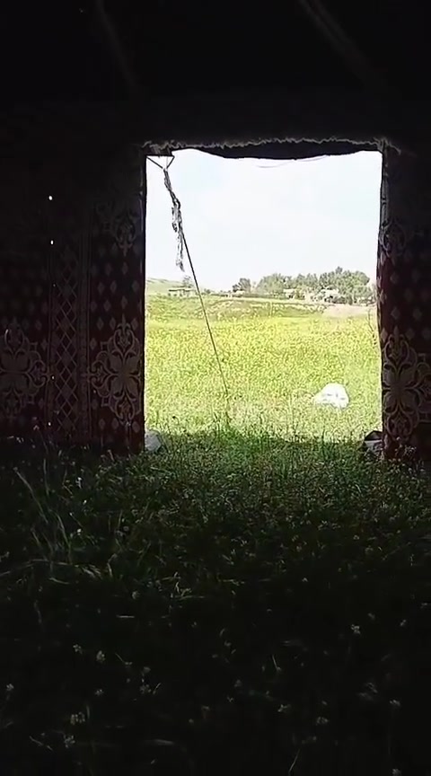 بيت شعر خليجي • ابطانه حمره • ٨×٦