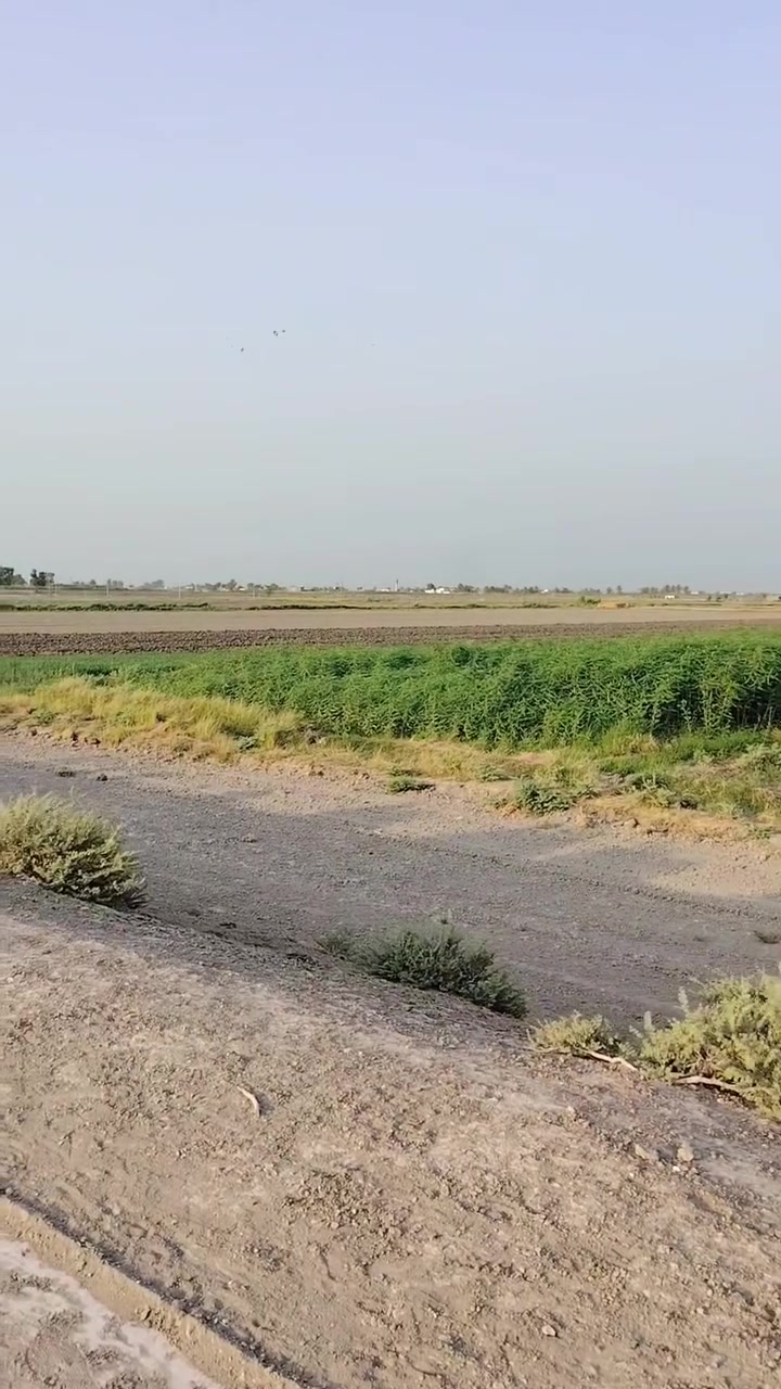 السلام عليكم عندي كاع دوانم لبيع المساحه 8دوانم طابو زراعي سند 25طابو الفلوجه ذراع دجله منطقة شيخ عامر تحديدن منطقة اللهيبي صايره ركن كلش حلوه تخبل الواجهة الدونم الواحد 40متر متوفره كافة الخدمات السعر الدونم الواحد 35مليون وبيه مجال اتصل على الرقم ***********بي واتساب
