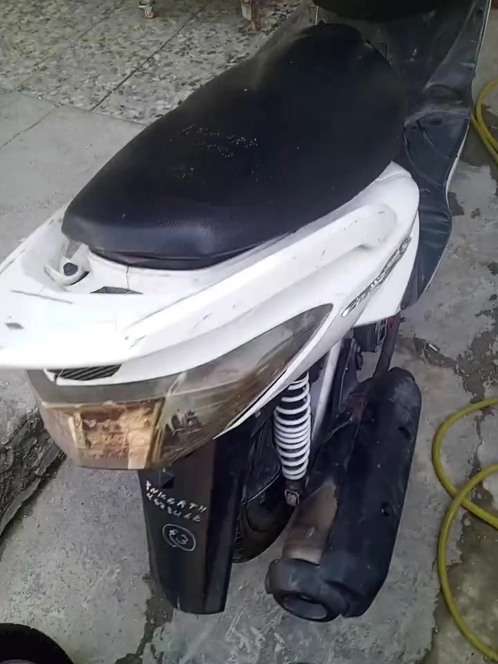 سكنس نوزل • خطين • بوشه بلاديه