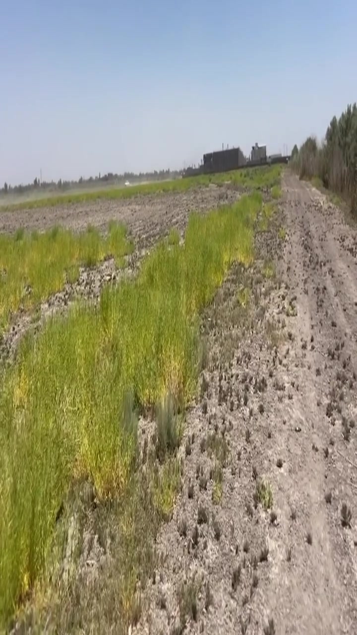 دونم للبيع طابو زراعي سند 25
2500 م 
ابو غريب الحمدانية قرب مزرعة باركود 
كامل خدمات 
التفاصيل بالفيديو 
***********
