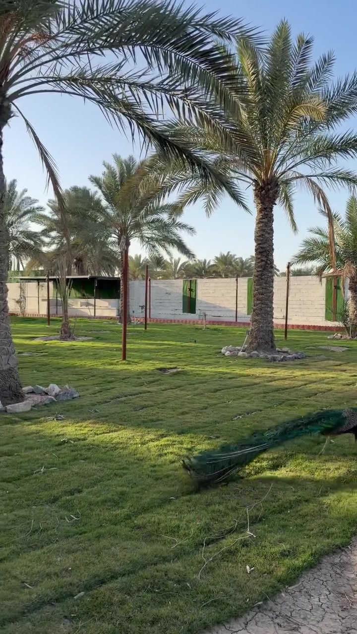 مزرعة الملوك - ابو غريب
مزرعه VIP كامله متكامله تحتوي على 

مسبح مغلق ماء دافيء 🏊‍♂️🌊

العاب كبار كل من بليارد-منضدة-فيشة 🏓

حديقة ب مساحة 2500 متر تحتوي على كافة الحيوانات والطيور 🦅🐓🐧🦆

جلسات خارجية وداخليه متنوعة وحديثة 💺

غرف نوم عدد اثنين مع جلسه للمطبخ مطلة على الحديقة.🛌

كراج كبير جداً يتسع 12 سياره 

انترنيت وكهرباء 24 ساعه 

مكان للشوي كامل 🍖

العاب اطفال متنوعه وحديثة 🎯🎳

للحجز والاستفسار التواصل على 

***********

او متوفره ب تطبيق اجرلي ب اسم مزرعه الملوك ابو غريب بغداد
