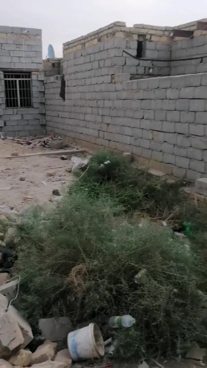 زراعي ابو مسلم • ١٥٠م • هيكل