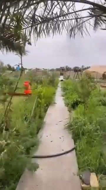 ناصريه شارع السفينه • ١٦٠٠م • شاطي زراعي