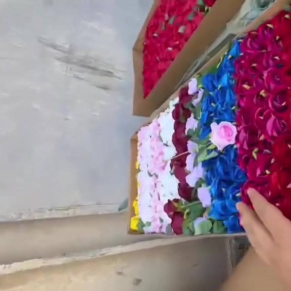 جملة • سنكل كبير • سنكل صغير