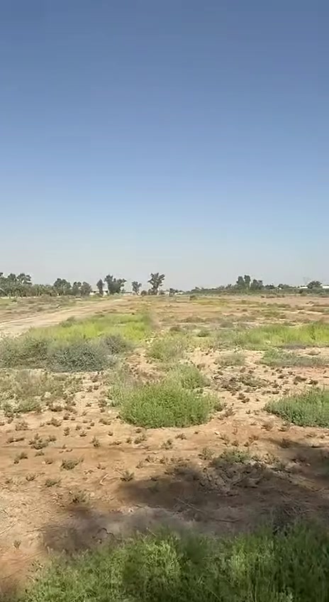 العزيزية واسط • ٢٠ دونم • ماء كهرباء