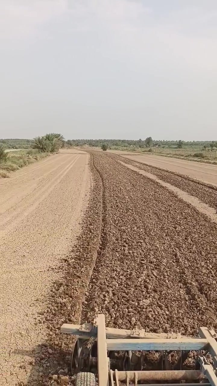 دسك • ٢٠ دنماركي • شغله يخبل