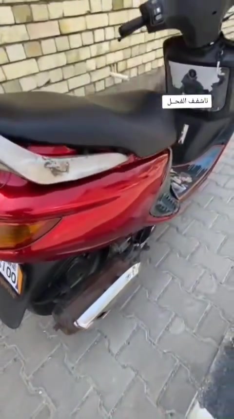 سلام علايكم
فراشه فحل للبيع سعر 500بيه مجال دراجه ناشفه سلف هندر اشاير كله شغال مكينه بلاد مامفتوحه وين مايعجبك افحص 
مكاني نجف الاشرف قرب نفق حي رحمه رقمي ***********
