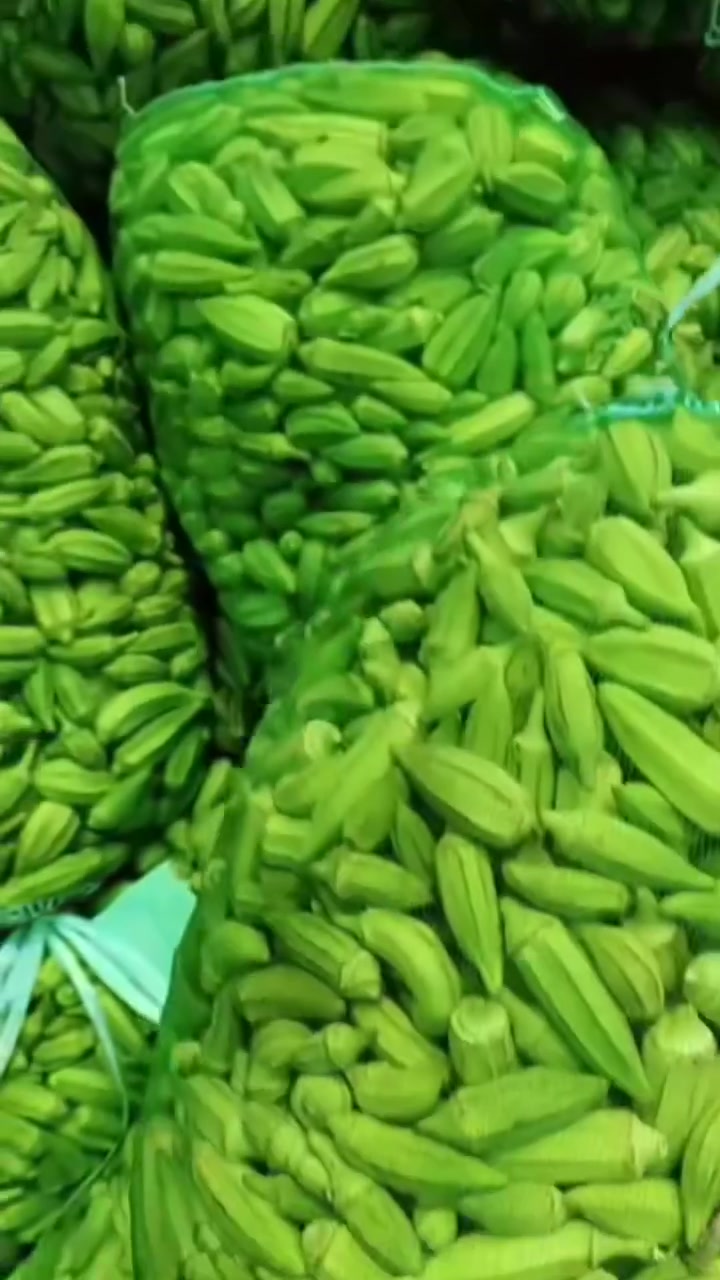 السلام عليكم 
 درجه اولى نحاشت  اليوم العصر 
بامية
 بتره وعندي  
 بغداديه ب 10,000 دينار تصلك الباب البيت بامية الجيس 7 كيلوات
 درجه اولى وبحياش اليوم العصر خابر  اكيد سبع (7) كيلوات ب 10,000 دينار ***********
