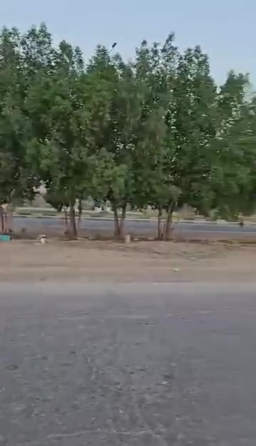 طابو ملك • ٣٥٠م • محرم ٨٠٠م