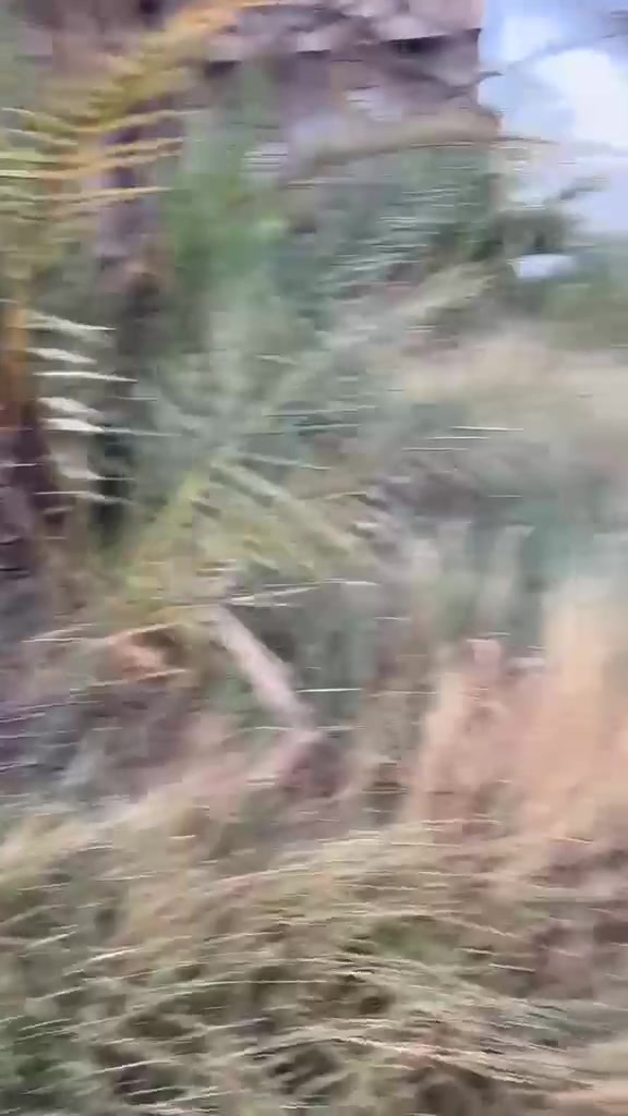 السلام عليكم
قطعه ارض للبيع مساحة ٦٠٠ مللك صرف زراعي  سند ٢٥ واجهة ١٣ نزال ٥٠ تبعد عن الجزيرة السياحية خمس دقايق منطقة  البو  دالي بسعر  مناسب  كما يتوفر بيوت وأراضي بمساحات مختلفه للإستفسار الاتصال على الرقم ***********
