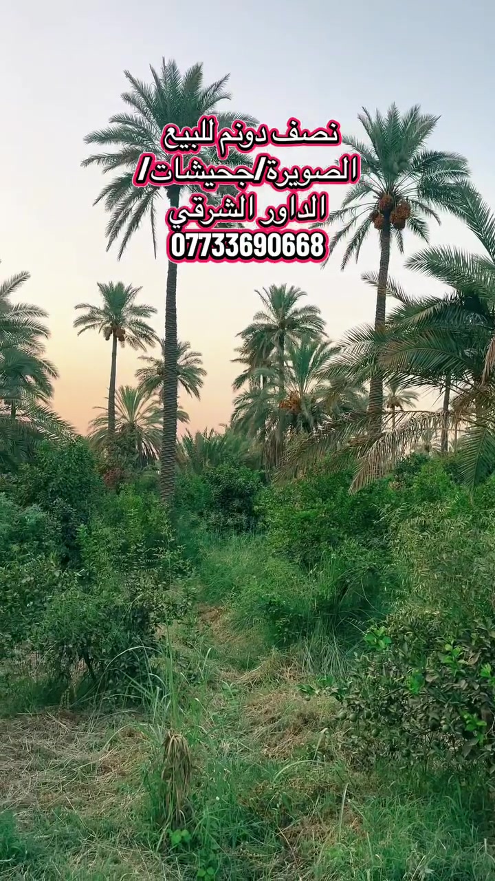 فرصة استثمارية جميلة  في الصويرة نصف دونم للبيع شجيرية الداور الشرقي ✅التفاصيل في الفديو 👇

***********
