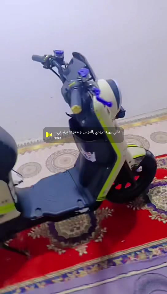بصرة كرمت علي • دراجة شحن • ار ١١