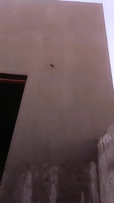 السلام عليكم ورحمة الله وبركاته من رخصة لادمن والمسؤول اخوكم اشتغل الباخ بكافه أنواعه جص وبياظ ٧  اسمنت وبياظ ٦   اسمنت ونثر ٦. تصفير. ٧   خشن وناعم أسود ٦ خابر ودلل *********** كربلاء التزام بل موعد استلام مهندس
