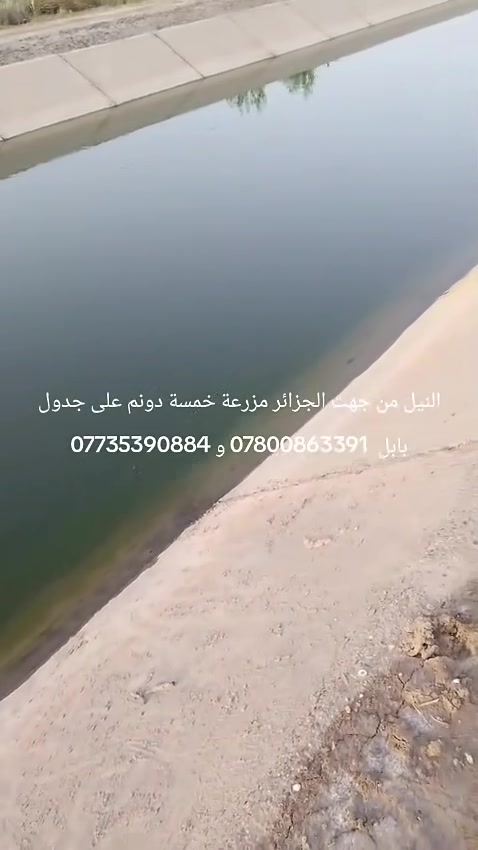 مزرعة خمسة دوانم للبيع في ناحية النيل من جهت الجزائر على جدول بابل مباشر لها مدخلان مدخل مقابل بانزين خانه بابل الحضارة سريع حلة كيش منطقة ابو عجاج مع الجدل مسافة ١ كم والثاني جسر الانضباطية مفرق الوردية عند عبورك جسر الجدول يمينا مسافة ٦٠٠ متر مزروعة انواع أشجار الفواكة مثل التين والرمان والتفاح وباقي الحمضيات وايضا النخيل ونخيل المكتوم عدد ٢٢٢ نخلة وفيها دار 🏠 ضيافة 
مكتب عقارات ضفاف النيل 
***********
***********
#مزرعة #دوانم #عقارات #الحلة #بابل

