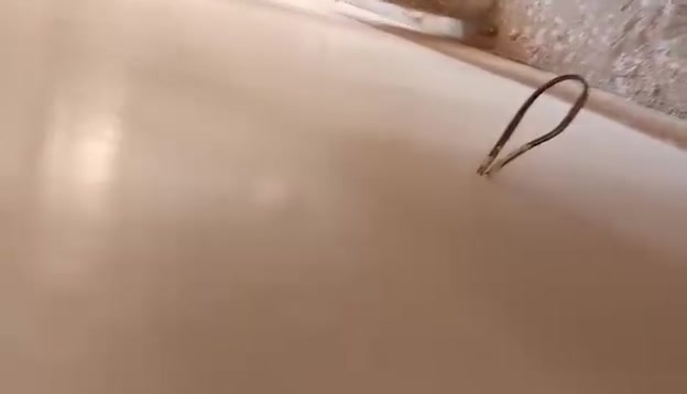 لباخ متفرغ  بورك شغل درجة أولى تسليم هندسي ***********
