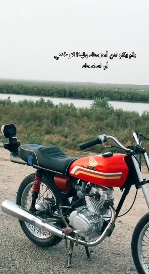 توه • معمرة • خاص