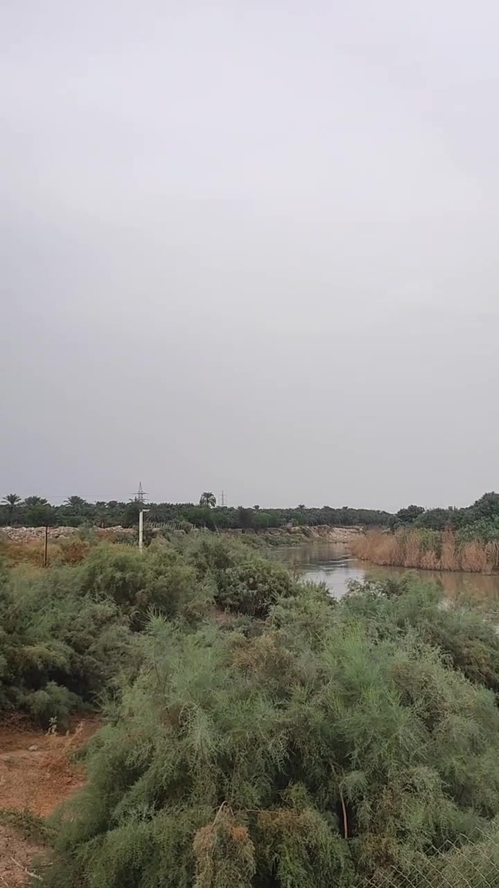 بعقوبة ام العضام • دونم • طابو زراعي