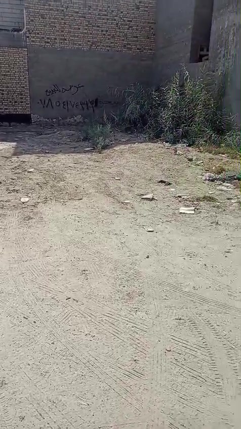عرصه لبيع مساحه 150 نزال 17 واجه 9
المكان لبراكيه قرب جامع قبه الذهبيه بشارع مختار  خالد سلاوي اتصال
***********
