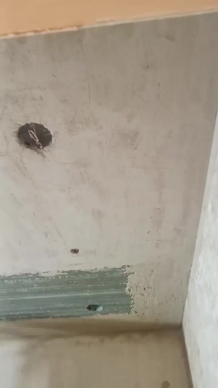 جص وبورك • بياض • بغداد