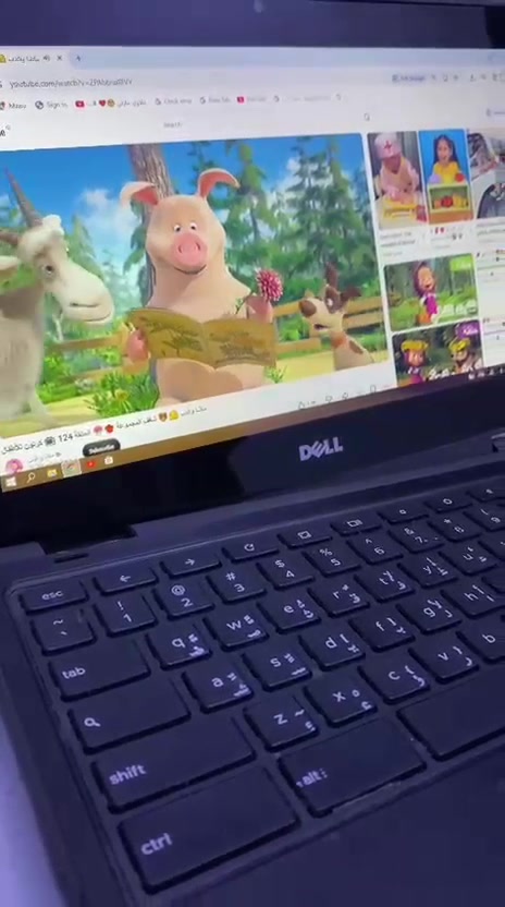 * الشركة: Dell
* الموديل: Chromebook 11 3120
* الشاشة: 11.6 بوصة
* الدقة: 1366 × 768 HD
* المعالج: Intel Celeron N2840 ثنائي النواة، بتردد يصل إلى 2.58GHz 
* الرام: غالبًا 2GB أو 4GB DDR3L، والحد الأقصى 4GB في هذه النسخة. 
* التخزين: غالبًا 16GB eMMC. 
* كرت الشاشة: Intel HD Graphics مدمج.
* الكاميرا: HD، وتصوير فيديو حتى 720p.   
العنوان ناصريه