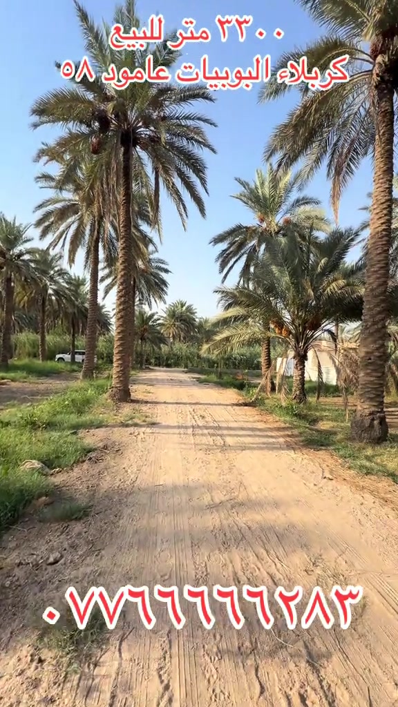 كربلاء البوبيات • عامود ٥٨ • ٣٣٠٠م