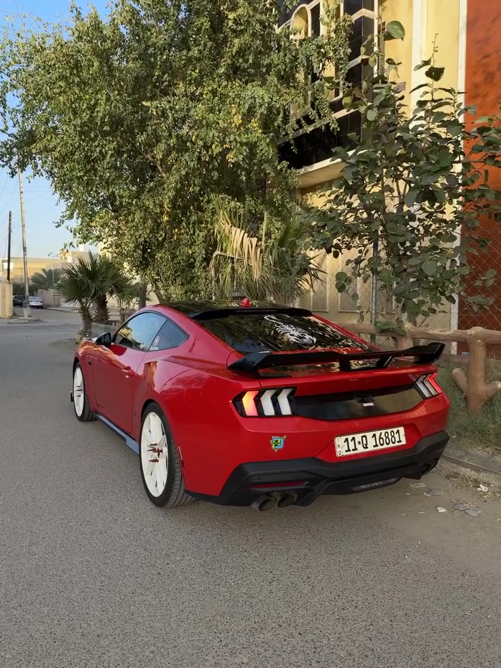 موستنك GT2024
السياره جديده بمعنى الكلمه 
 فقط بنيد جاملغ تكحيل كارت  جداً بسيط 
السياره تعبان عليها وصارف عليها مانقصها اي شي جاهزه 100‎%‎ 
عليها اضافات 
شوت وستيرن كاربون فايبر
وبك لايت ابيض اوربي ولحيه 
‏ ppf بنيد وقماره وجنطه
كاج كان
لدات دعاميه ابيض
اكس بايب كورسا
برمجه سيف تيتو
ستريس بار
ويل نيش صبغ درجه اولى ابيض 7 شذرات
سبايدر دارك هورس
لواصق اصلي ونانو سيراميك 
ماشيه 16000 كيلو 
اكتف اكزوز 
بريميوم
ديجيتل
رادار امامي وخلفي وجانبي
السياره معروفه وبلعافيه ع الياخذها ***********
مكان السيارة بالناصرية
السعر 275 وبيها مجال بسيط جداً
