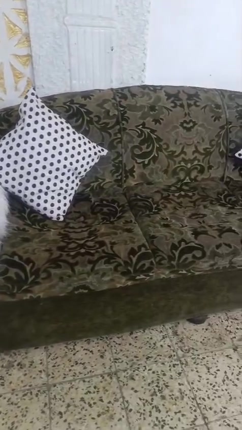 قنفات • بوتو • زراعي
