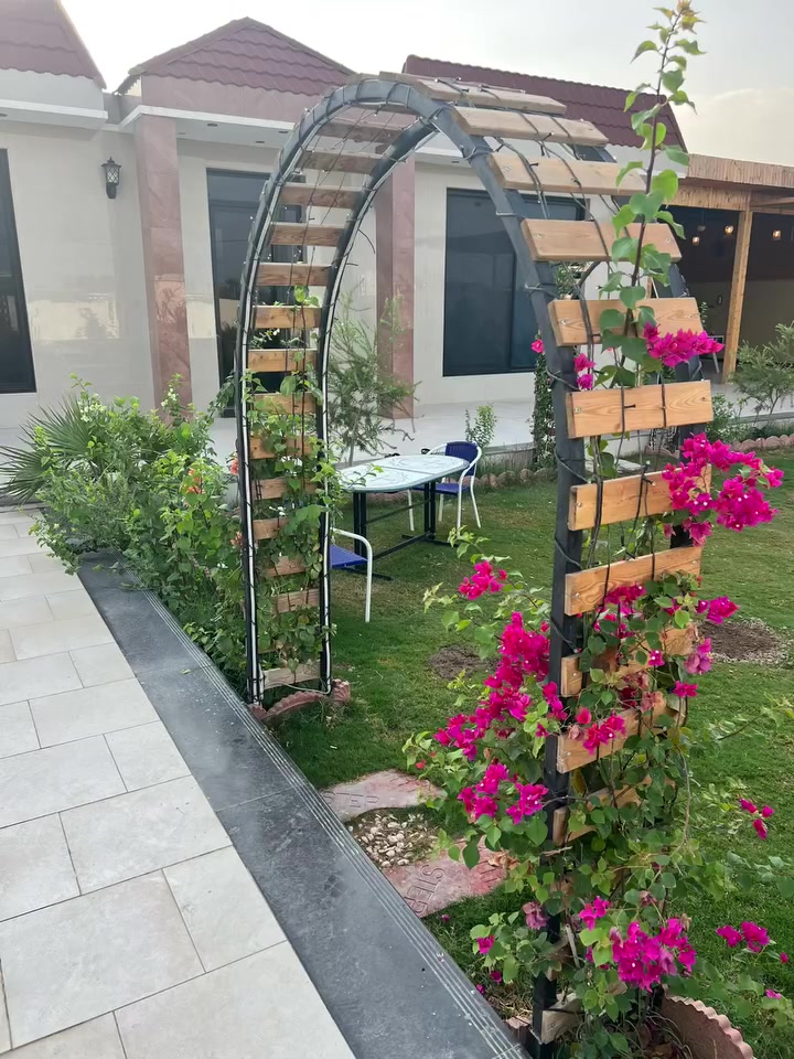 بوعيثه • الخميس مسائي