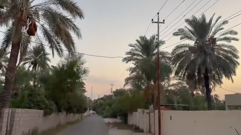 المدائن • دونم و١٨٥م • ملك صرف