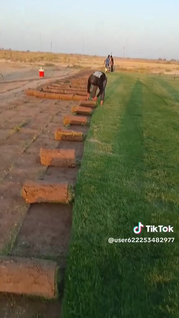 ثيل طبيعي • هندي أمريكي فرنسي • توصيل لجميع المحافظات