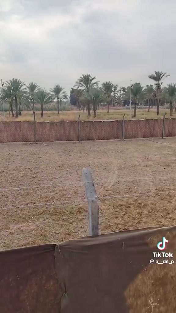 🌟يتوفر سعر المتر ب7 الف
🌟 BRC بي آر سي سماكة 9_ 2    ملم مع كريسيه وتركيب بسعر 9,000 دينار
🌟 BRC بي آر سي سماكة 3 ملم مع فتحات 5 وفحص بسعر 11,000 دينار
🌟 BRC بي آر سي سماكة 3 ملم مع كريسيه وتركيب بسعر 9,000 دينار
🌟 BRC بي آر سي سماكة 3 ملم مع جادر بسعر 9,500 دينار
🌟 BRC بي آر سي سماكة 2.8 ملم بسعر 8,500 دينار
🌟 BRC بي آر سي سماكة 2.8 ملم مع جادر بسعر 9,500 دينار
🌟 BRC بي آر سي سماكة 2.7 ملم بسعر 7,500 دينار
🌟 BRC بي آر سي سماكة 2.7 ملم مع جادر بسعر 8,500 دينار
🌟 BRC بي آر سي سماكة 2.6 ملم بسعر 7,000 دينار
🌟 BRC بي آر سي سماكة 2.6 ملم مع جادر بسعر 7,500 دينار
🌟 ويتوفر لدينا سعر المتر بقيمة 6,000 دينار
🌟 كما نقدم خدمات التصنيع والتركيب لجميع أنواع الأسوار الاصطناعية ☘️☘️
💰 أسعارنا تنافسية 😉💰
🚛 نقوم بتقديم خدماتنا في جميع محافظات العراق
💰💰 ملحوظة: يتوفر لدينا سعر المتر بقيمة 6 دينار 💰💰
📞 للمزيد من المعلومات، يرجى التواصل معنا عبر الزر أسفل هذا المنشور أو الاتصال على الأرقام التالية:
📞 يتوفر واتساب
*********** 📞
