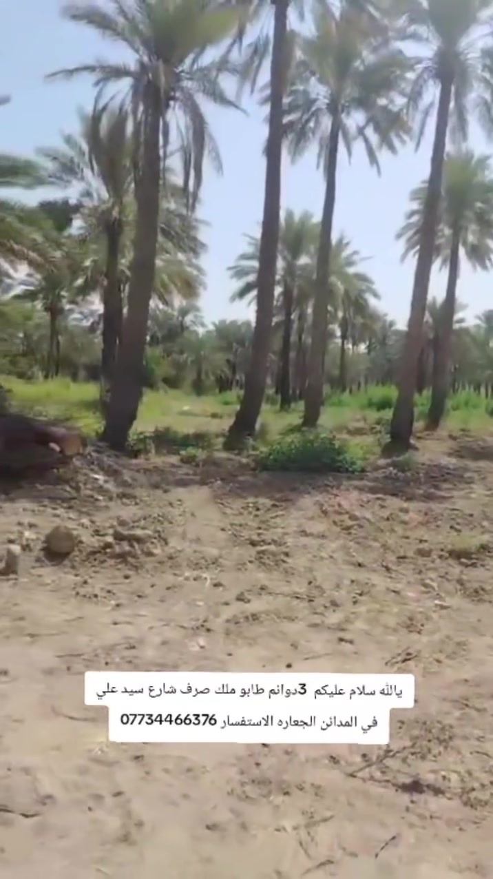 الاستفسار ***********
