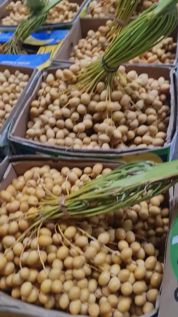 علوة الأخوين مجمع الأميرات الأول البوابه الرئيسية مقابل مجمع الكرار
