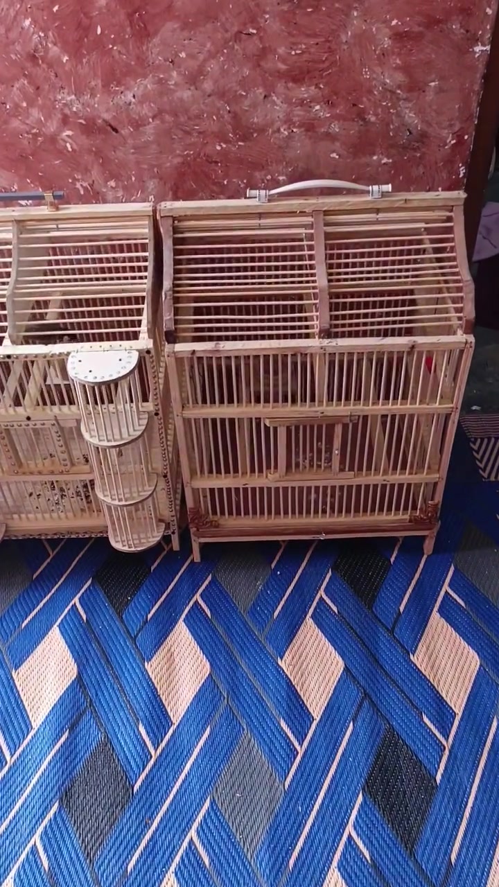 مرخصة مدير الكروب باقي التفاصيل كله بل مقطع ***********
