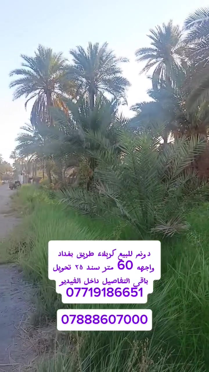 دونم للبيع كربلاء طريق بغداد عمود  ٥٤ الاعميشيه واجهه ٦٠ خدمات كاملة سند ٢٥ تحويل أسهم باقي التفاصيل داخل الفيديو ***********     ***********
