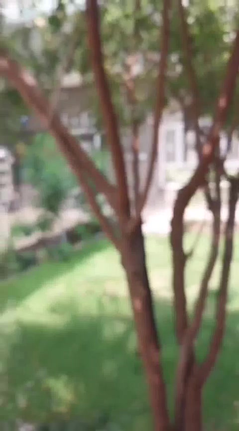 بيت للبيع • ٢٠٠م • حديقة وكراج