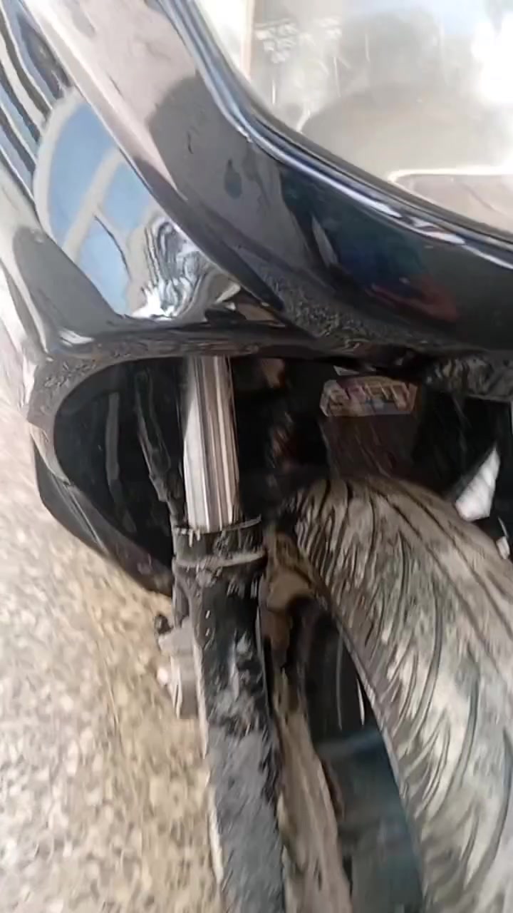 سكنس فحل • نوزول • كوري