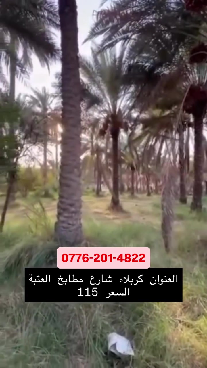 1000م للبيع
على طريق بغداد شارع مطابخ العتبة او شارع البزل الكبير..
