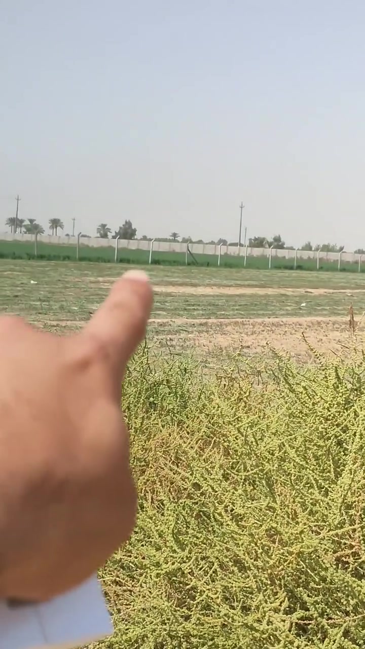 أرض شاطئية • نهر الفرات • ٥ دونم