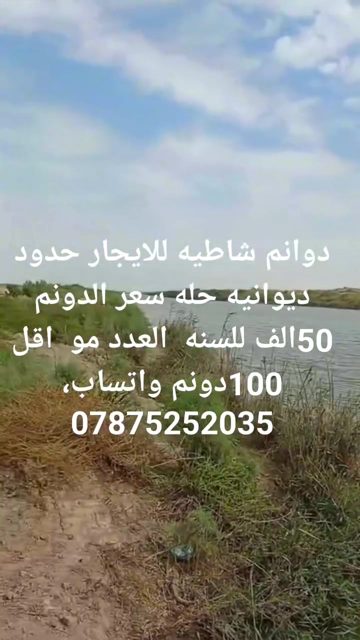 أرض • ١٠٠م • لا تفاصيل