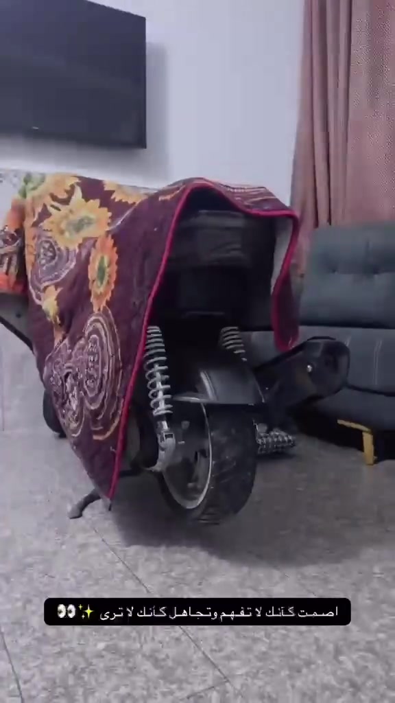 السلام عليكم شمعه للبيع دراجه ع حطته مكينه بلاد ع حطته تجي شوفها وتفحصه ع براحتك سعر ٦٥٠بيه مجال قليل حك جيه لا اكثر دواجته ع حطته لا تكلي شبيه مابيه وشراي يتصل ***********مكاني حي اور

نص مكتوب في الصور:
- 8:38 AM شفت ايام سودة وعشت بل قدرة 👎💔