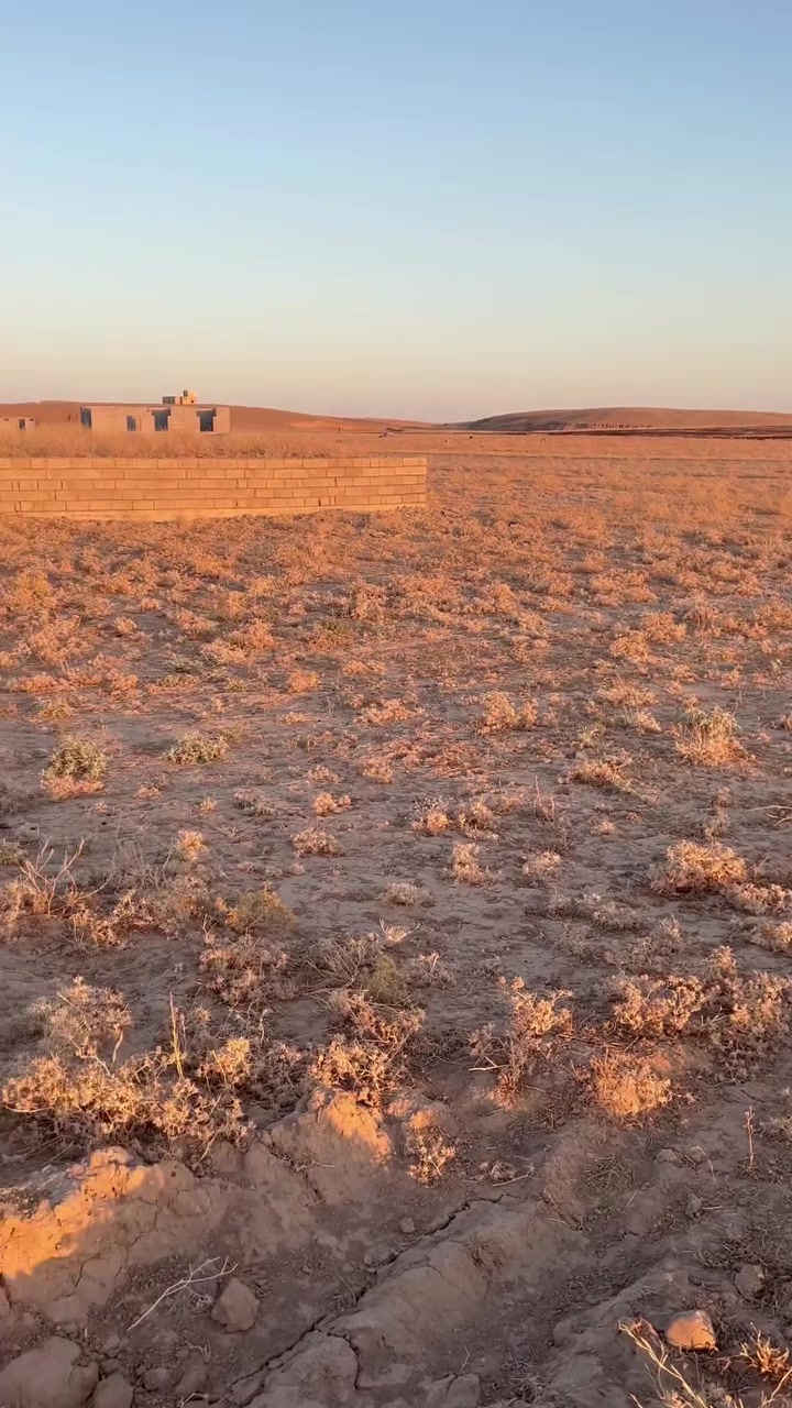 سلام عليكم ورحمه الله وبركاته
بسبب الوعد الكاذه
قطعه ارض مساحه 1500م
معا تكعيب مساحه 200م
معا قسطل كامل
يعني بس تبني موقع
الارض مجاور مجمع عز الدين ابو احمد
مكان حلو وهادء للبيع الشراي يتصل وبي خير
ويتدلل ***********
داخل سديره وسطى
