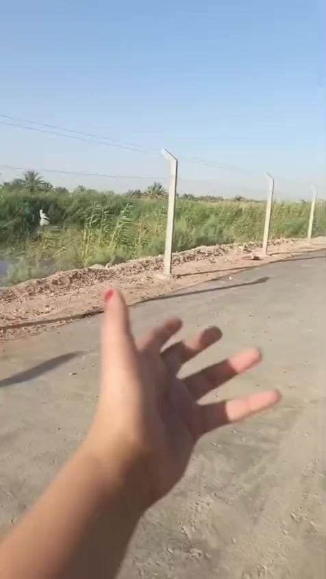 عقار • للبيع • ماكو تفاصيل
