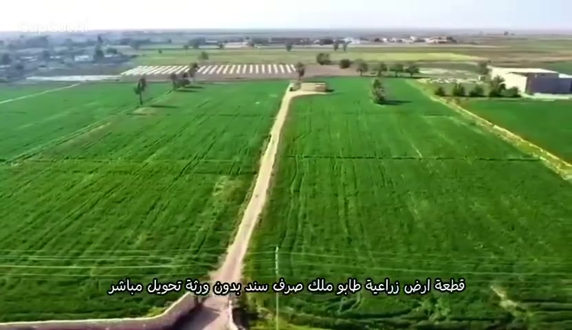 ٤٠ دونم • طابو ملك صرف • الأنبار الحبانيه