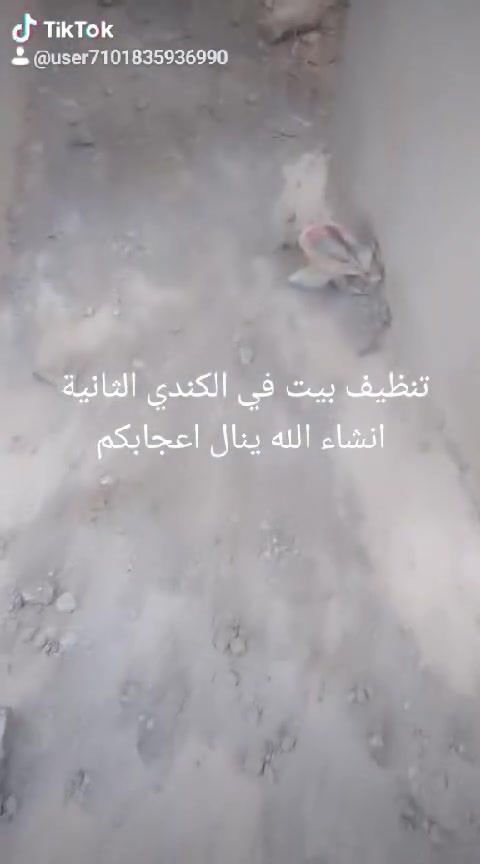السلام عليكم
الي يحتاج عمال

تصفيط بادلو 

تنظيف البيت من الانقاض

توزيع مواد داخل البيت 

صب دنك او قسطل 

بناء قسطل لبخه 

تقشيط جدران 

صب ارضية بيت 

صب رمبه باب الكراج 

خابر ودلل 

***********  واتساب 

***********
